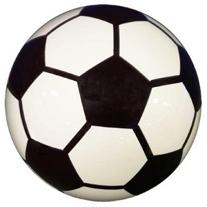 Pro Bowl Soccer Bowling Ball Pro Bowl Soccer Bowling Ball